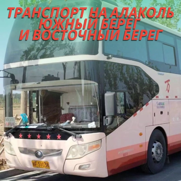 НОВИНКА! Комфортабельный автобус на  Алаколь
