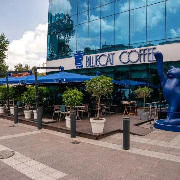 Blue Cat Coffe гастро-кофейня